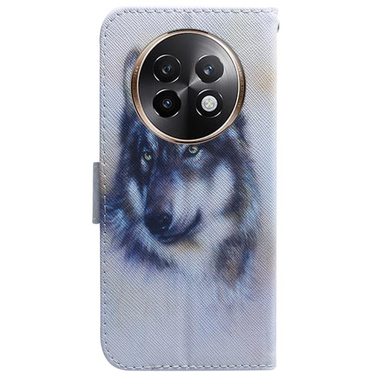 For Realme 13+ Global Coloured Drawing Flip Leather Phone Case