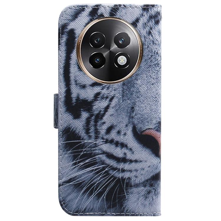 For Realme 13+ Global Coloured Drawing Flip Leather Phone Case