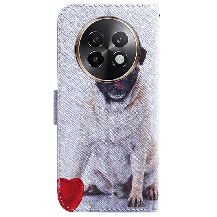 For Realme 13+ Global Coloured Drawing Flip Leather Phone Case