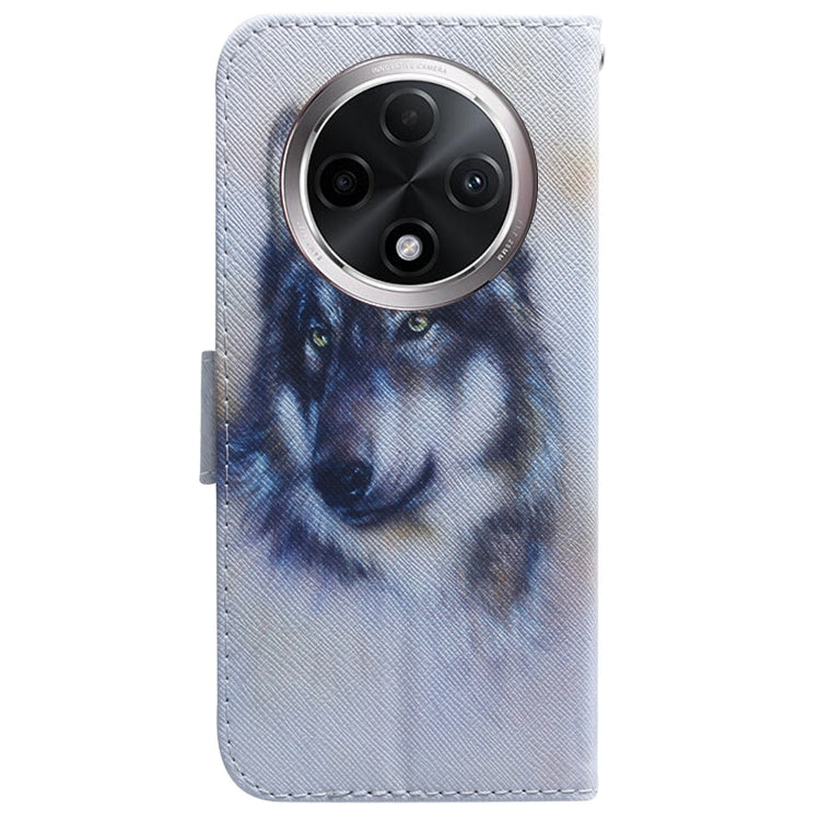 For OPPO A3 Pro 5G Coloured Drawing Flip Leather Phone Case