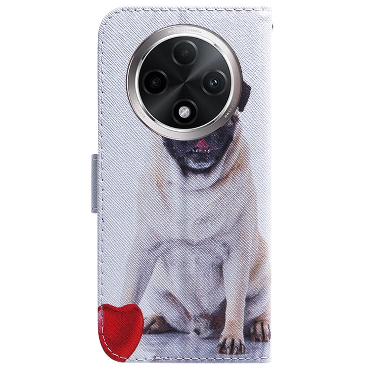 For OPPO A3 Pro 5G Coloured Drawing Flip Leather Phone Case