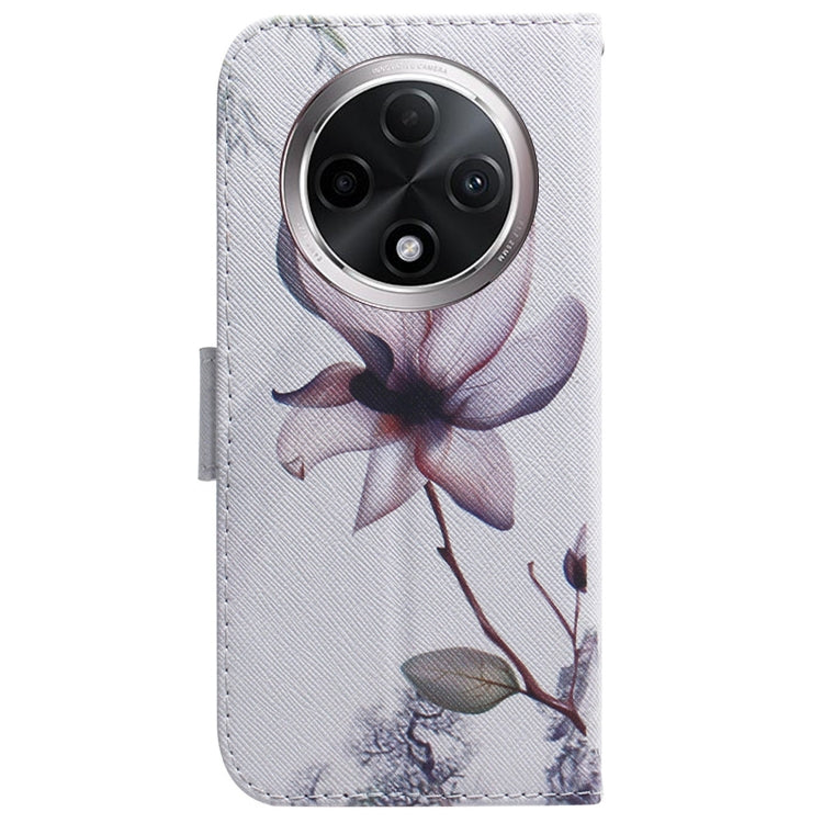For OPPO A3 Pro 5G Coloured Drawing Flip Leather Phone Case