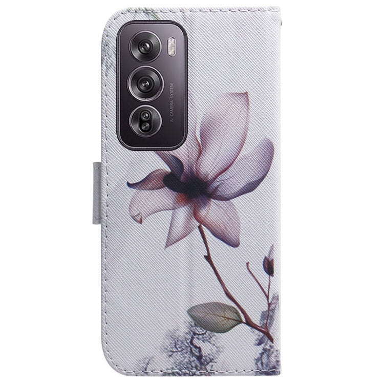 For OPPO Reno12 Pro 5G Global Coloured Drawing Flip Leather Phone Case