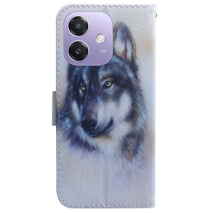 For OPPO A5x 5G / A3 4G / 5G / A3x 4G / 5G Coloured Drawing Flip Leather Phone Case