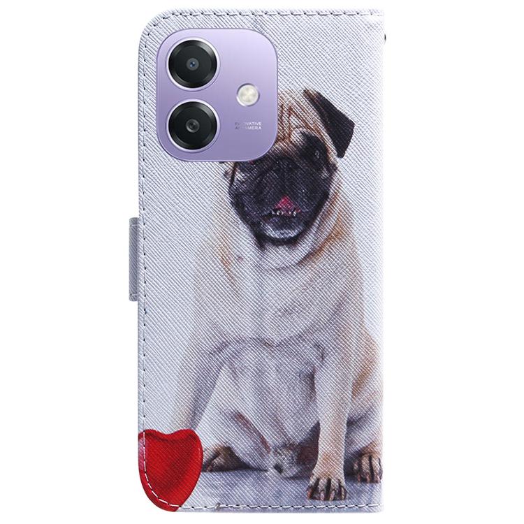 For OPPO A5x 5G / A3 4G / 5G / A3x 4G / 5G Coloured Drawing Flip Leather Phone Case