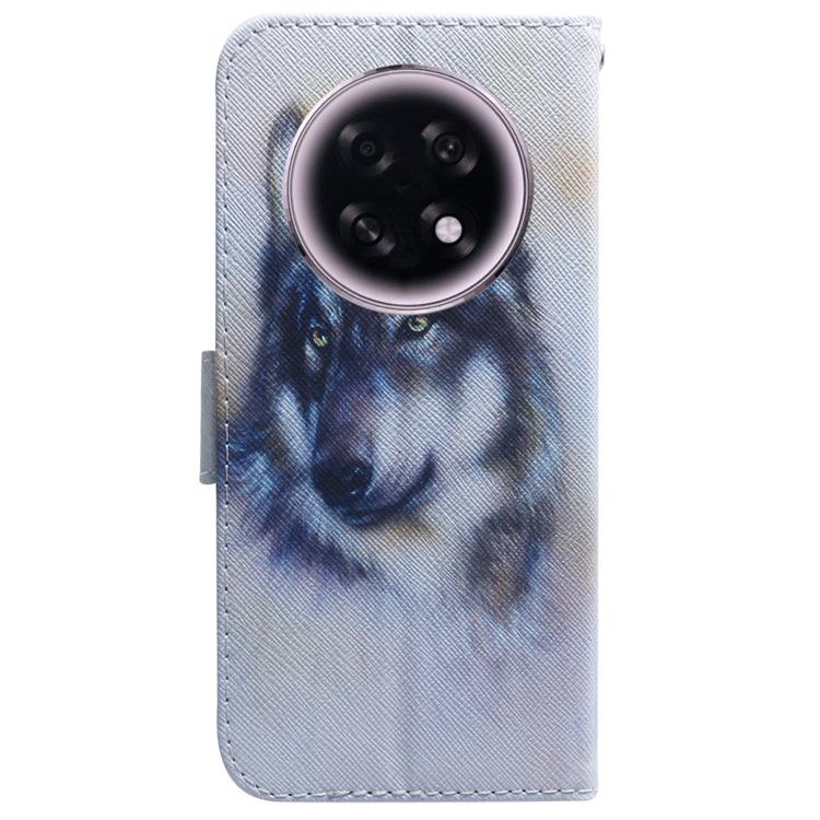 For OPPO A6 GT 5G Coloured Drawing Flip Leather Phone Case