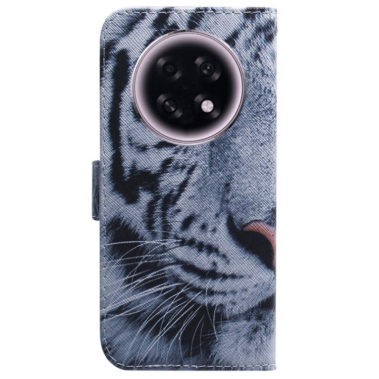 For OPPO A6 GT 5G Coloured Drawing Flip Leather Phone Case