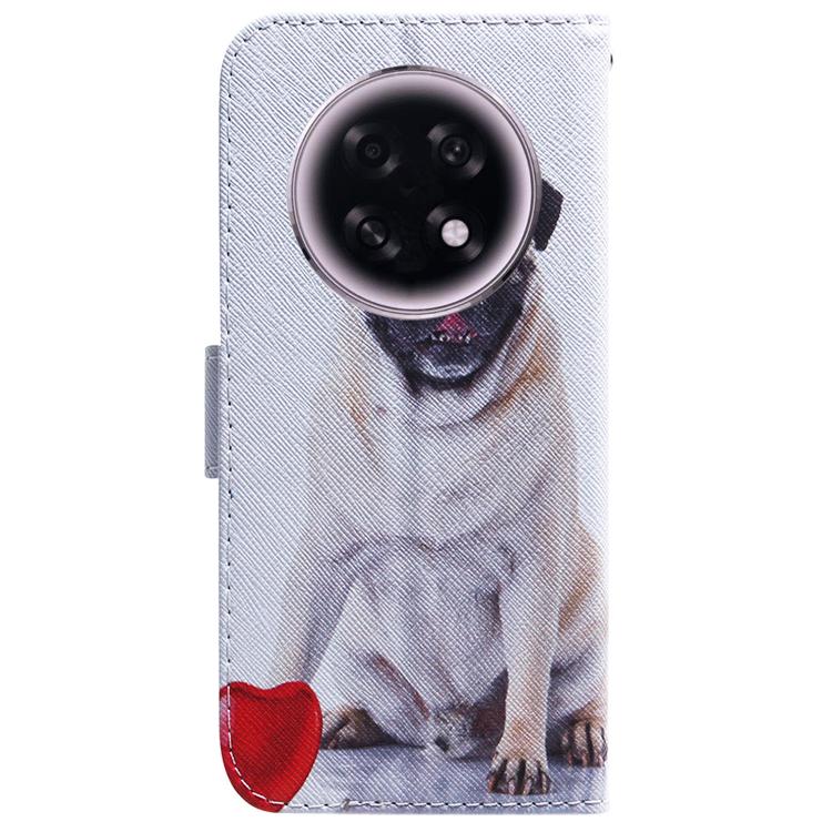 For OPPO A6 GT 5G Coloured Drawing Flip Leather Phone Case
