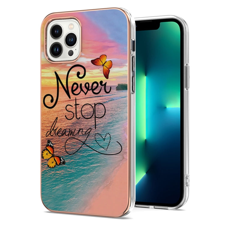 For iPhone 15 Pro Max Electroplating Pattern IMD TPU Shockproof Case