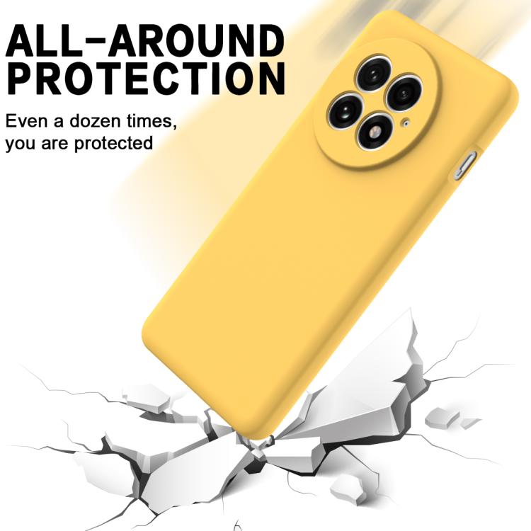 For OnePlus 13 Solid Color Liquid Silicone Dropproof Full Coverage Phone Case