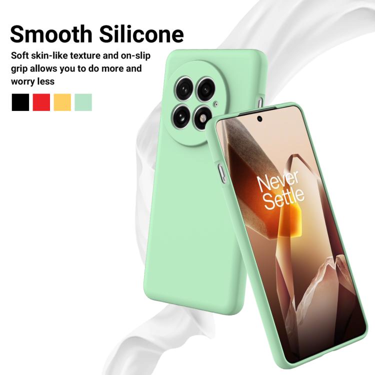 For OnePlus 13 Solid Color Liquid Silicone Dropproof Full Coverage Phone Case