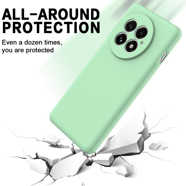 For OnePlus 13 Solid Color Liquid Silicone Dropproof Full Coverage Phone Case