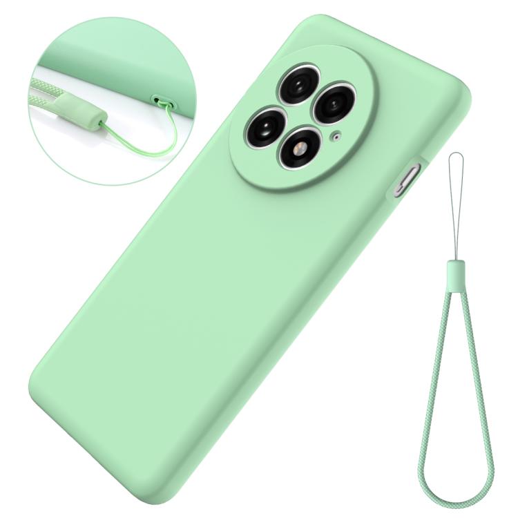 For OnePlus 13 Solid Color Liquid Silicone Dropproof Full Coverage Phone Case