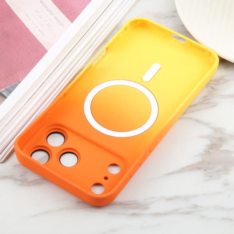 For iPhone 17 Pro Max Liquid TPU Silicone Gradient MagSafe Phone Case