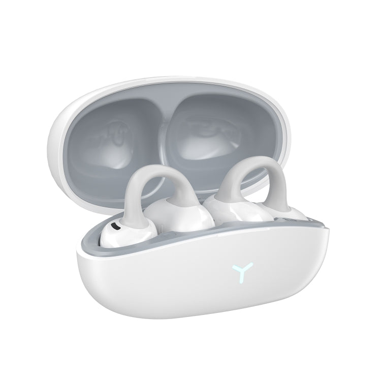 WIWU T17 PandoraTWS Wireless Bluetooth Earphone