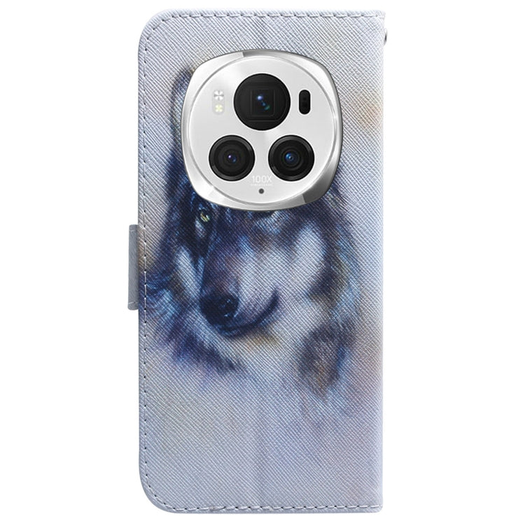 For Honor Magic6 Pro Coloured Drawing Flip Leather Phone Case