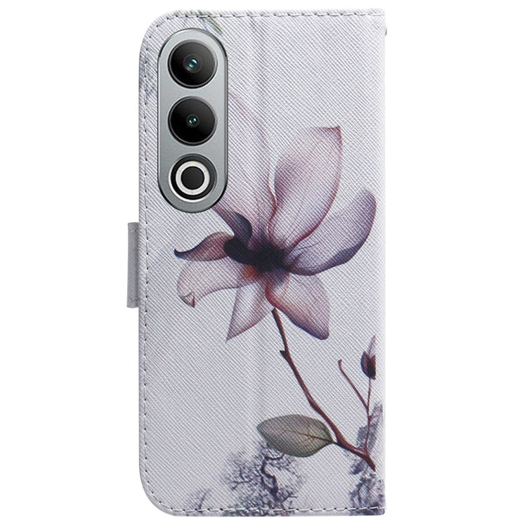 For OnePlus Nord CE4 5G Coloured Drawing Flip Leather Phone Case