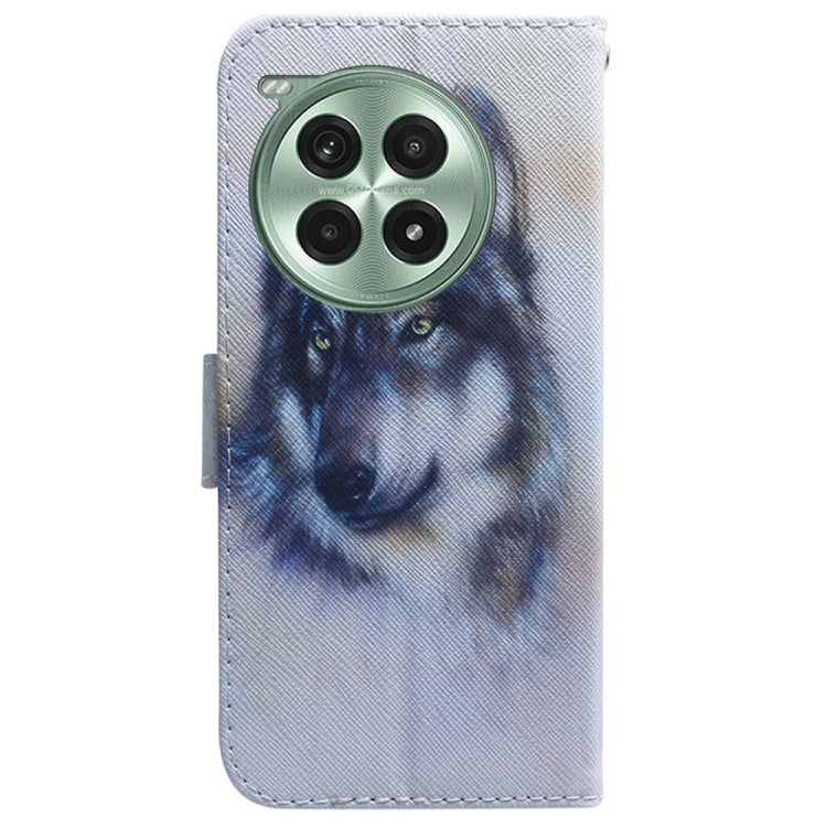 For OnePlus Ace 3 Pro Coloured Drawing Flip Leather Phone Case