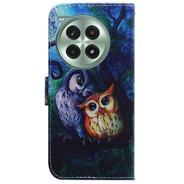 For OnePlus Ace 3 Pro Coloured Drawing Flip Leather Phone Case