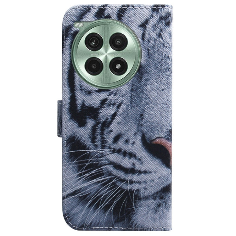 For OnePlus Ace 3 Pro Coloured Drawing Flip Leather Phone Case