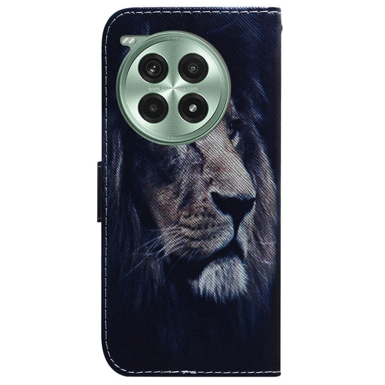 For OnePlus Ace 3 Pro Coloured Drawing Flip Leather Phone Case