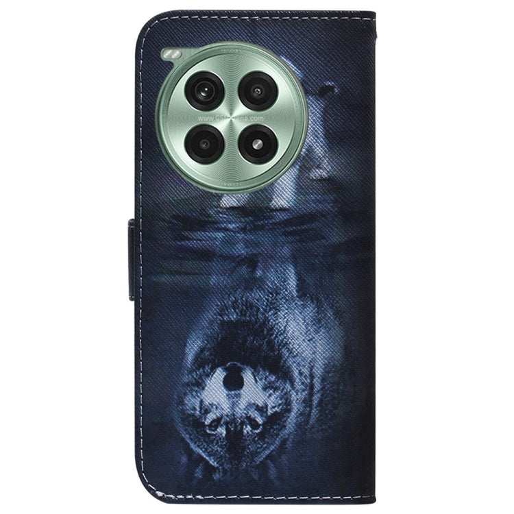 For OnePlus Ace 3 Pro Coloured Drawing Flip Leather Phone Case