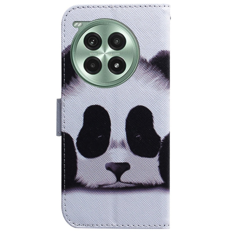 For OnePlus Ace 3 Pro Coloured Drawing Flip Leather Phone Case