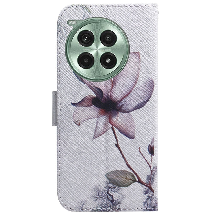 For OnePlus Ace 3 Pro Coloured Drawing Flip Leather Phone Case