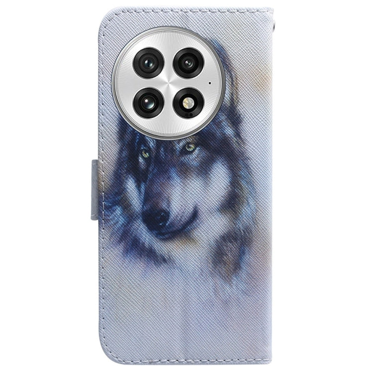 For OnePlus 13 Coloured Drawing Flip Leather Phone Case