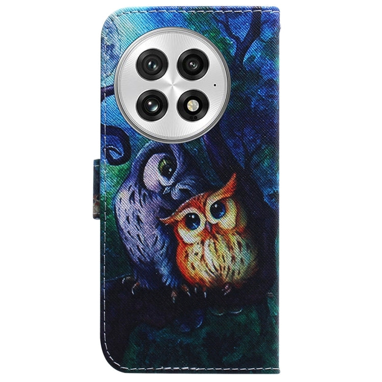 For OnePlus 13 Coloured Drawing Flip Leather Phone Case