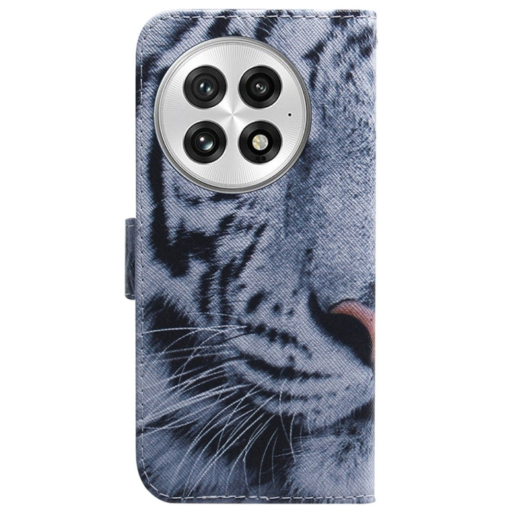 For OnePlus 13 Coloured Drawing Flip Leather Phone Case