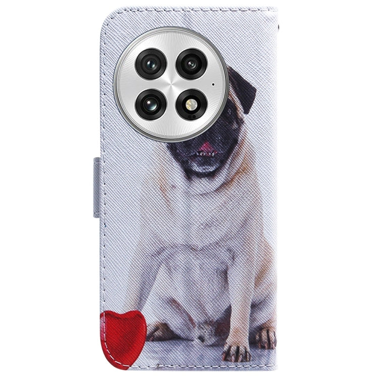 For OnePlus 13 Coloured Drawing Flip Leather Phone Case