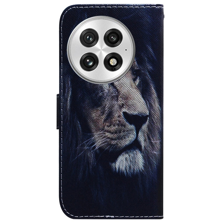 For OnePlus 13 Coloured Drawing Flip Leather Phone Case