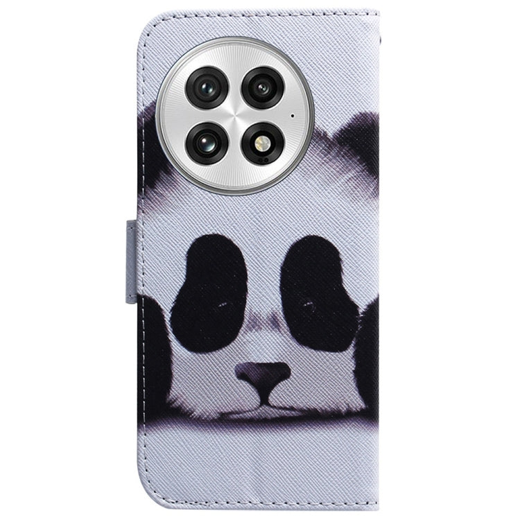 For OnePlus 13 Coloured Drawing Flip Leather Phone Case