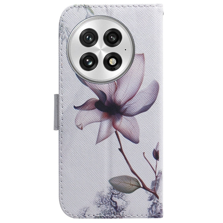 For OnePlus 13 Coloured Drawing Flip Leather Phone Case