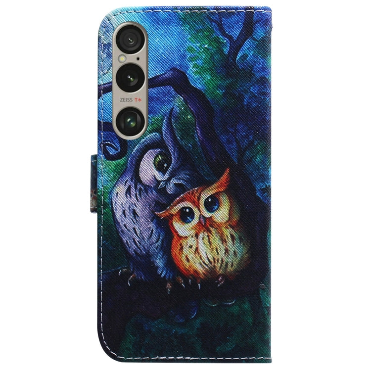 For Sony Xperia 1 VI Coloured Drawing Flip Leather Phone Case
