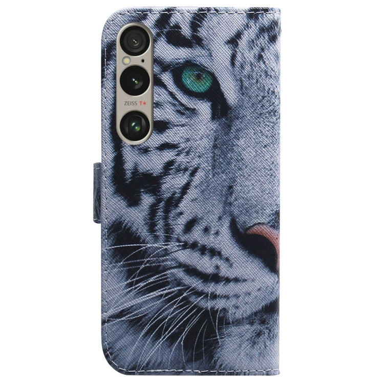 For Sony Xperia 1 VI Coloured Drawing Flip Leather Phone Case