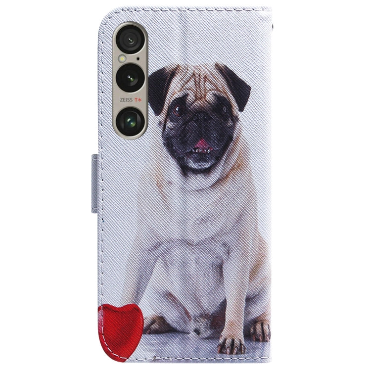 For Sony Xperia 1 VI Coloured Drawing Flip Leather Phone Case