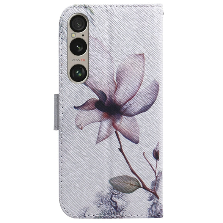 For Sony Xperia 1 VI Coloured Drawing Flip Leather Phone Case