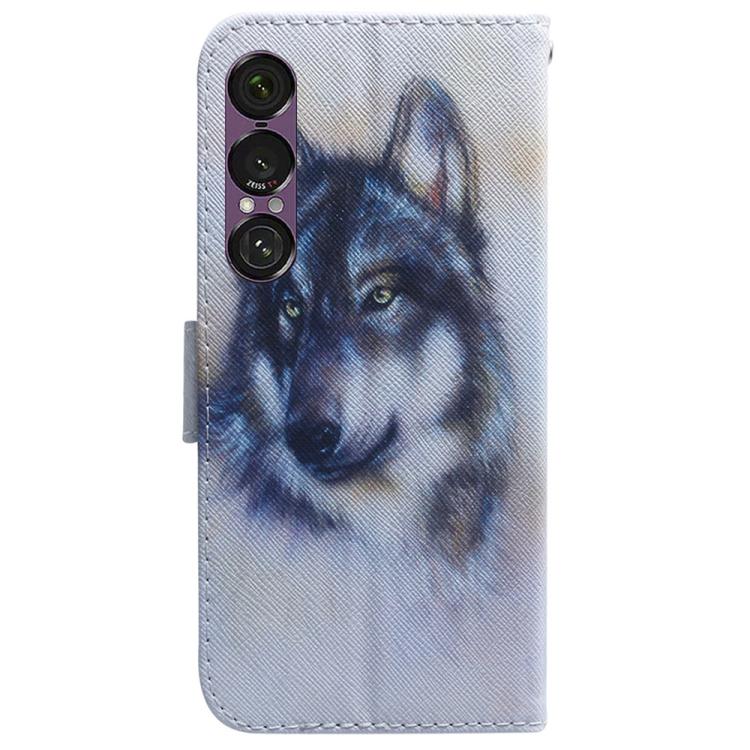 For Sony Xperia 1 VII Coloured Drawing Flip Leather Phone Case
