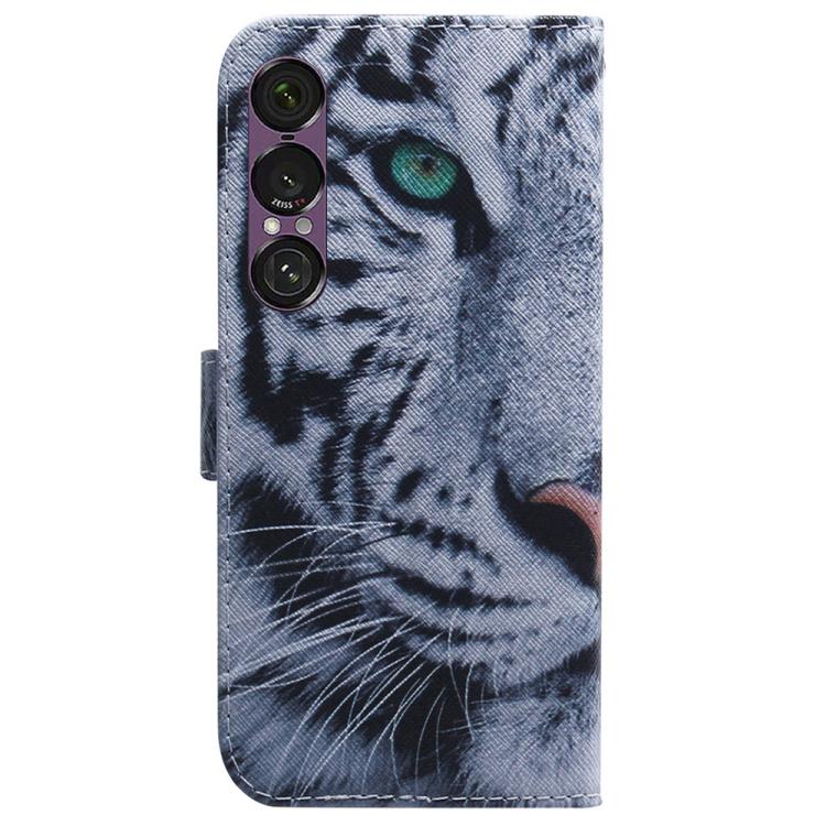 For Sony Xperia 1 VII Coloured Drawing Flip Leather Phone Case