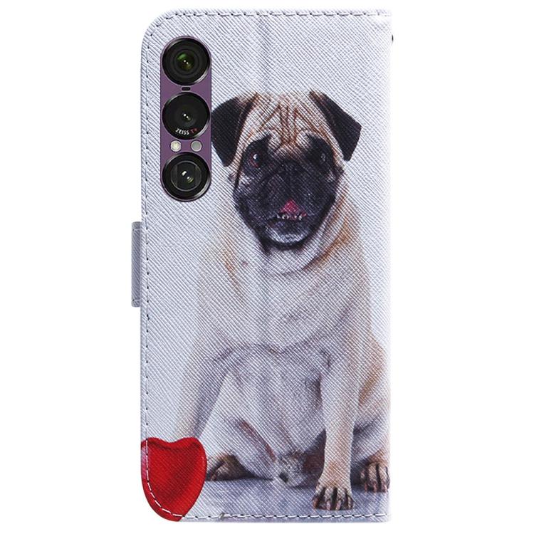 For Sony Xperia 1 VII Coloured Drawing Flip Leather Phone Case