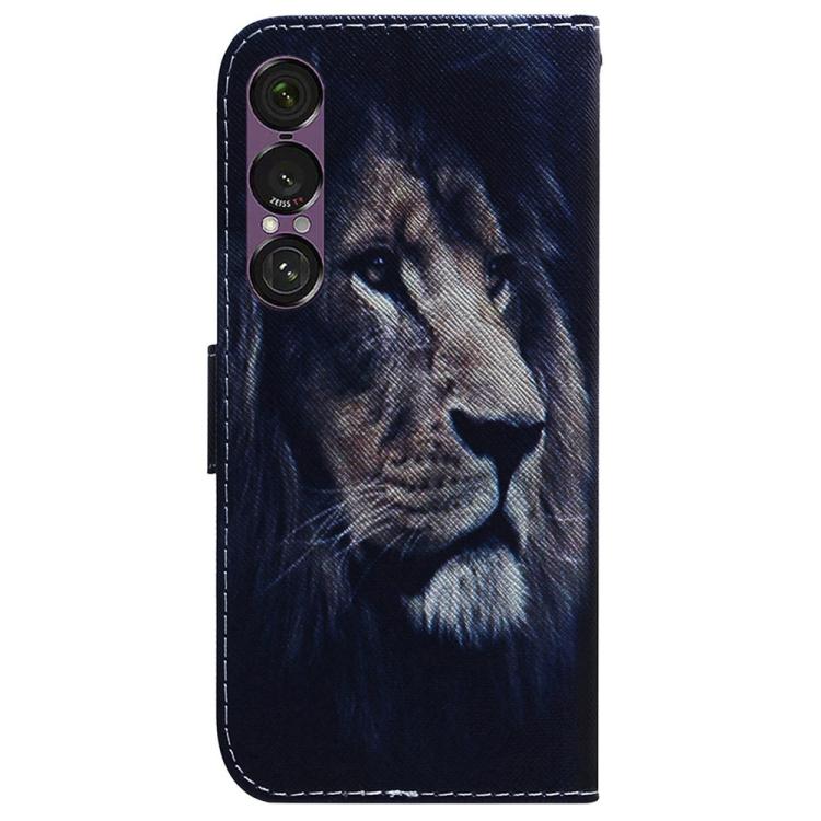 For Sony Xperia 1 VII Coloured Drawing Flip Leather Phone Case
