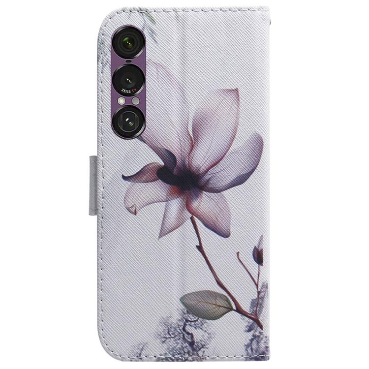 For Sony Xperia 1 VII Coloured Drawing Flip Leather Phone Case