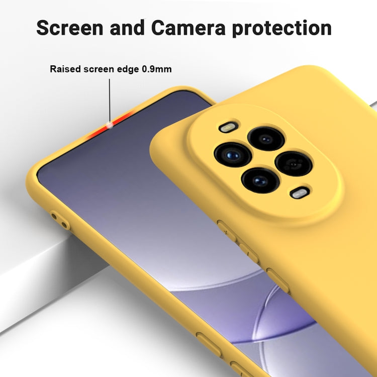 For Huawei nova 13 Pro Solid Color Liquid Silicone Dropproof Full Coverage Phone Case