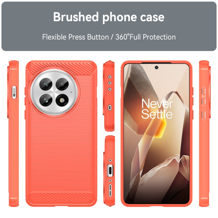 For OnePlus 13 Carbon Fiber Brushed Texture TPU Phone Case