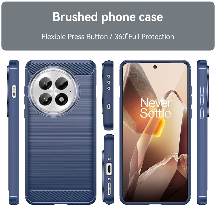 For OnePlus 13 Carbon Fiber Brushed Texture TPU Phone Case