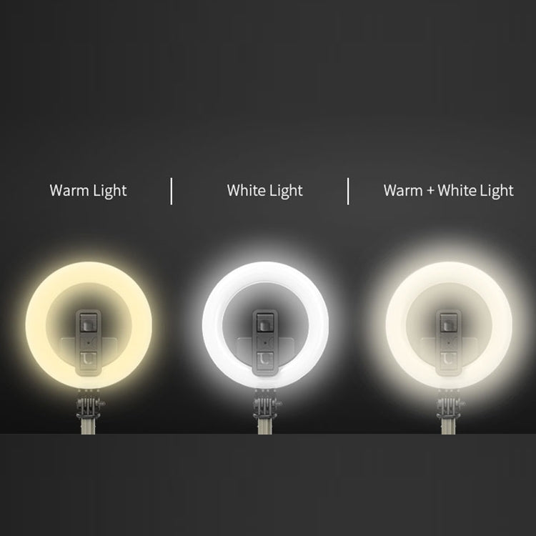 L07 LED 5-inch Fill Light + Selfie Stick with Holder