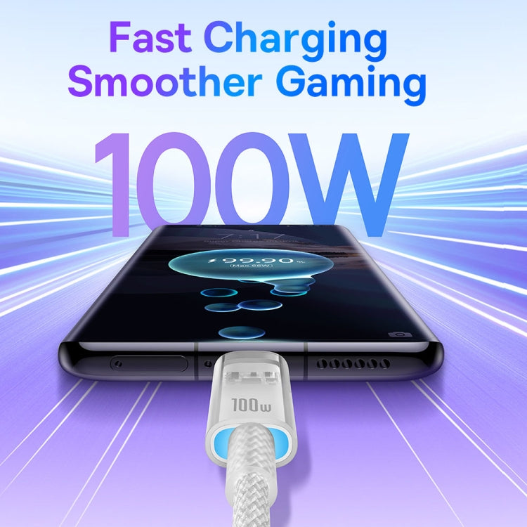 Baseus Explorer Series 100W USB-C / Type-C to USB-C / Type-C Smart Temperature Control Fast Charging Data Cable, Length: