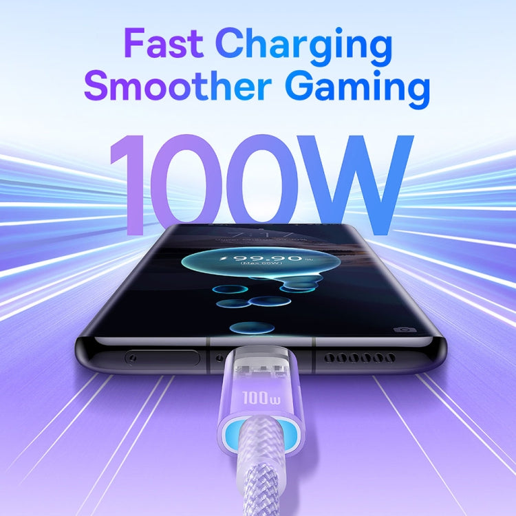 Baseus Explorer Series 100W USB-C / Type-C to USB-C / Type-C Smart Temperature Control Fast Charging Data Cable, Length: